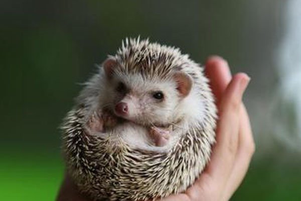 �����ʲô���ŵ�˵�� �����ļ���ǧ��Ҫע��