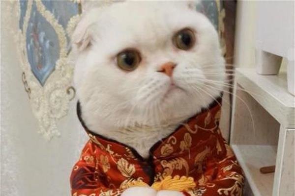 ������Ϊʲô�������� ����ֻ�Ǹ��µ����˵����