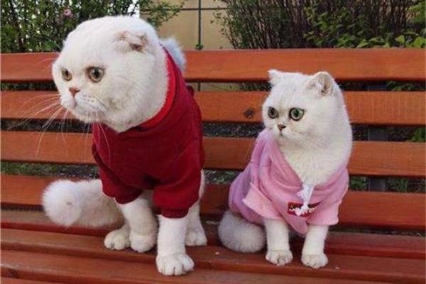 ������Ϊʲô�������� ����ֻ�Ǹ��µ����˵����