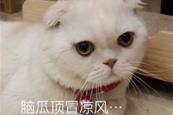 ������Ϊʲô�������� ����ֻ�Ǹ��µ����˵����