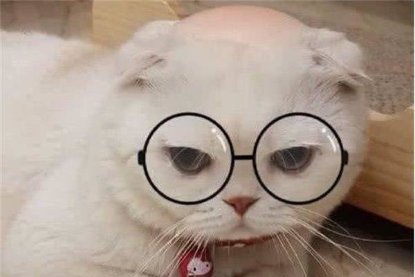 ������Ϊʲô�������� ����ֻ�Ǹ��µ����˵����