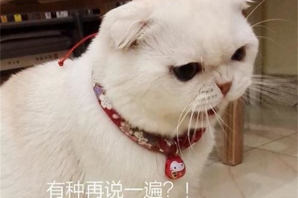 ������Ϊʲô�������� ����ֻ�Ǹ��µ����˵����