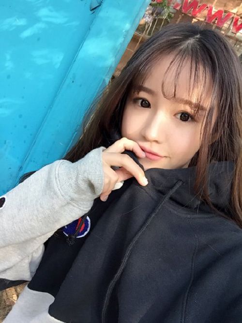 ��������״ �������������ϼ���Ƭ