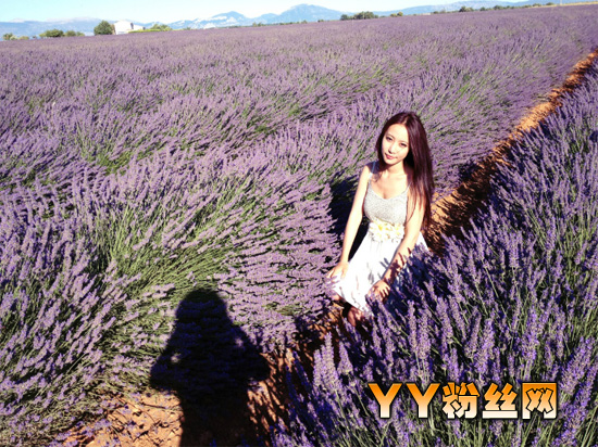 �ǳ�����˫��̥���û���ʫ����ʫ��΢�������Ը�˽����