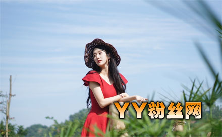 ��ètv��������˭������ʲô panda������������Χ��������