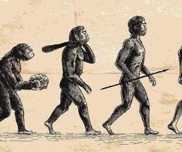 �����۱��Ʒ� �ڹ��е�������̽��δ��̫������