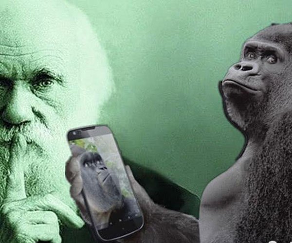 �����۱��Ʒ� �ڹ��е�������̽��δ��̫������