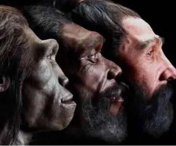 �����۱��Ʒ� �ڹ��е�������̽��δ��̫������