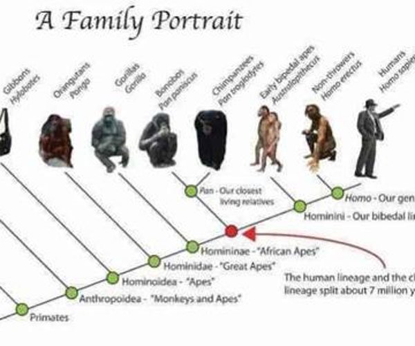 �����۱��Ʒ� �ڹ��е�������̽��δ��̫������