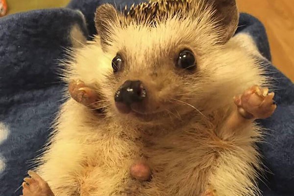 ���Ͽ�����⬺ò��� ҹ�����ϢС�ı���