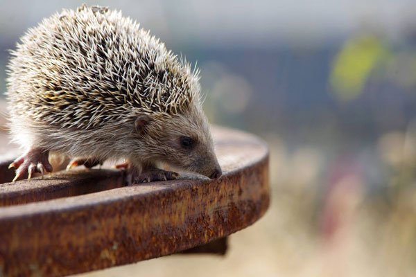 ���Ͽ�����⬺ò��� ҹ�����ϢС�ı���