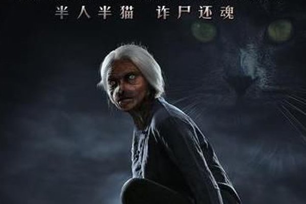 è����̫̫�Ǽٵ� Ҫ�����è����̫̫Ϊʲôֻ��һ��