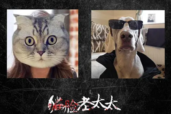 è����̫̫�Ǽٵ� Ҫ�����è����̫̫Ϊʲôֻ��һ��