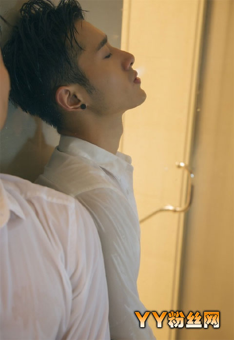 �ǳ�����³����˧����Ƭ�������� ³���ָ�������΢����ϵ��ʽ