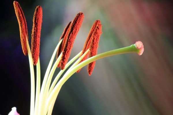 ��������������ʲô�� rap������������ը