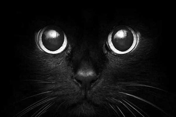 ��������������ʲô�� rap������������ը