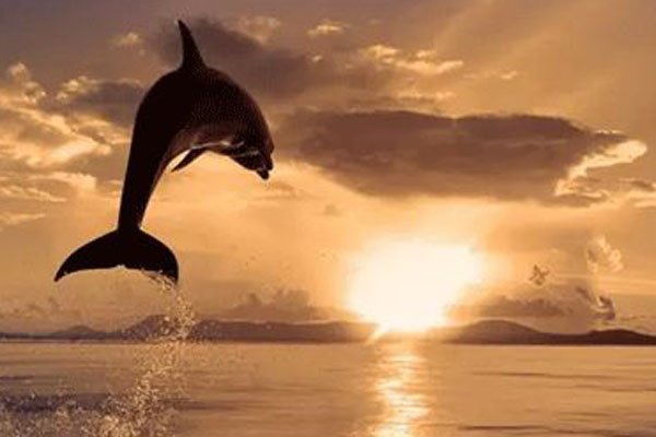 ��������������ʲô�� rap������������ը