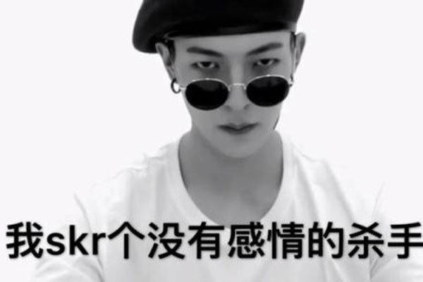 ����skrskr��ʲô��˼ ϲ������𡱵��˸���