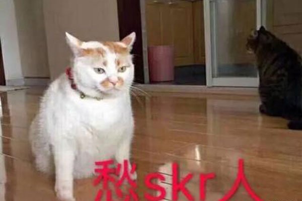 嘻哈skrskr是什么意思 喜欢“点火”的人跟上