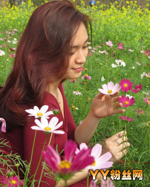 �ǳ�����������΢������ 2��Խ����������˽�����ͳ�