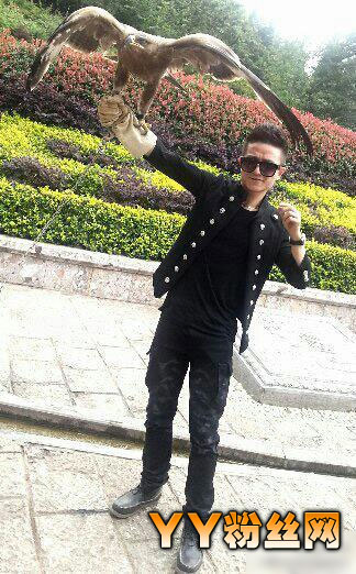 �й�������������/�����΢������ ���ܰ�������Ψ���赸