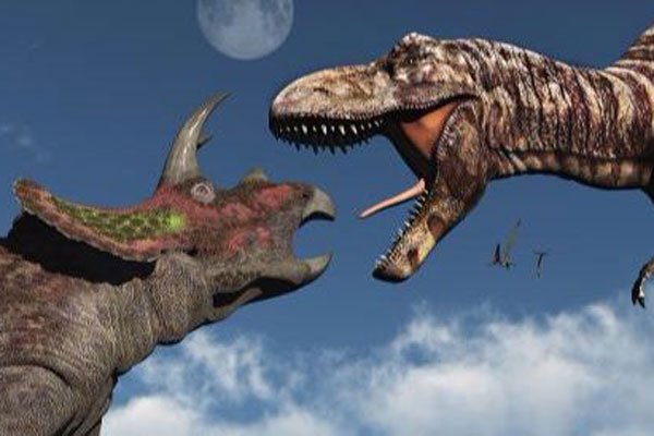 �������ܳԵ��������� ��ս���������Զ��������Ტ��