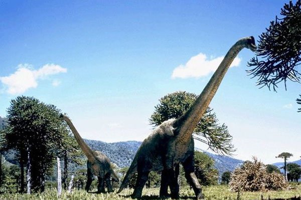 �������ܳԵ��������� ��ս���������Զ��������Ტ��