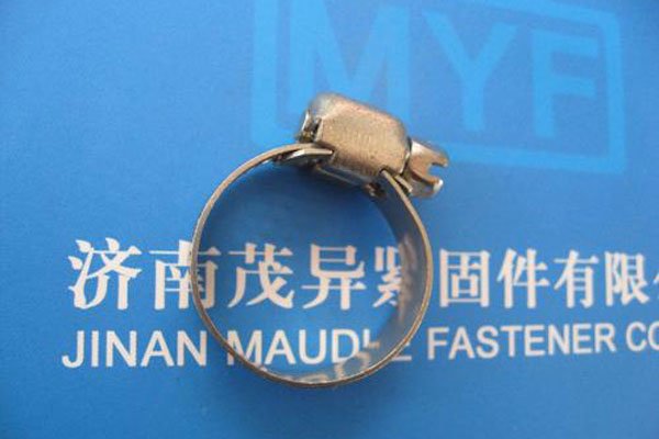 ��������û�л����� ҧ�Լ�β�ͺ�ɵ��Ϊʲô