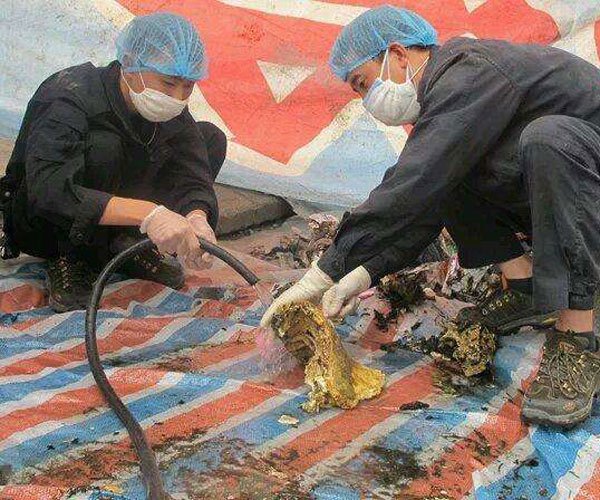 �Ͼ���ʬ�������� �����ൽ�׻��ж�Զ