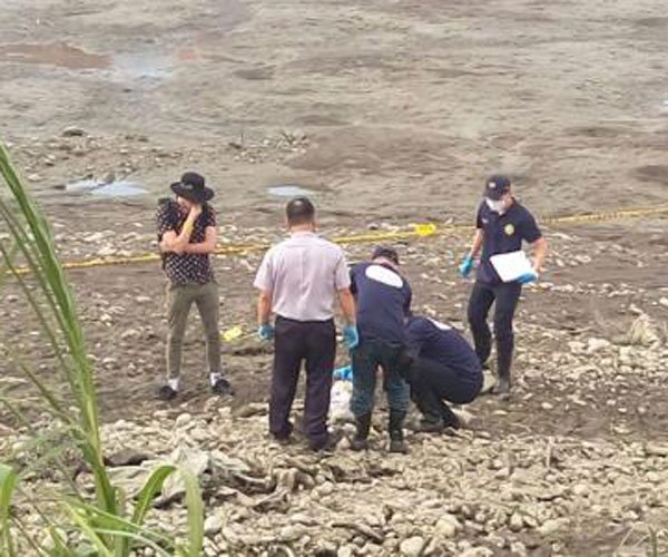 �Ͼ���ʬ�������� �����ൽ�׻��ж�Զ