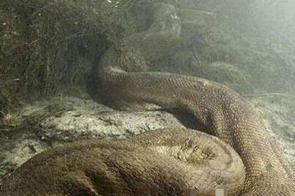 ���վ����ɽ��¼� ϸ�ڵ�λ�������������ʵ