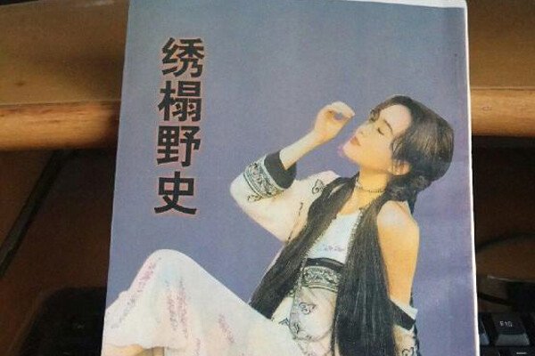 尼姑绣榻野史第一回 让人看了甚至都会有呕吐的感觉