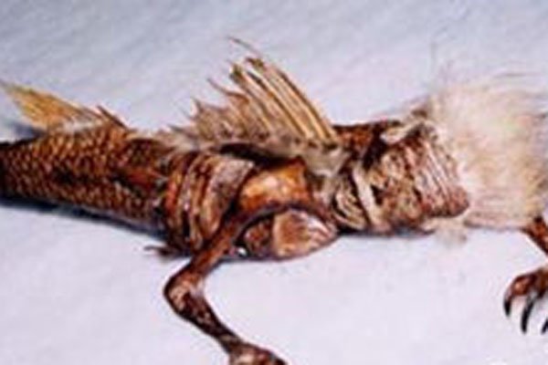 �ձ��˻��������ͼƬ û��ʲô���಻�ҳԵ�