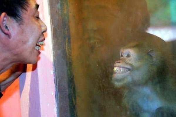 重庆最美女孩鬼脸 点进去看的人都被吓尿了