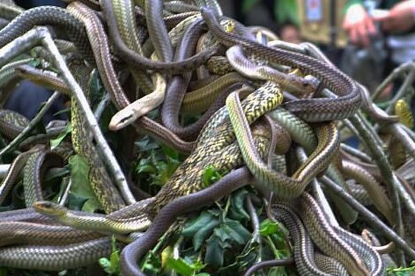 1983��������ʲô��˼ ���������ϵĿֲ�����