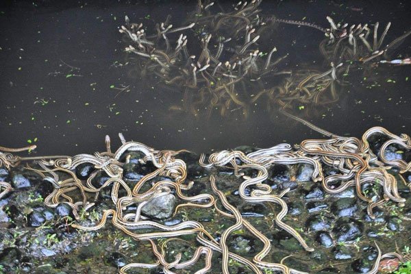 1983��������ʲô��˼ ���������ϵĿֲ�����