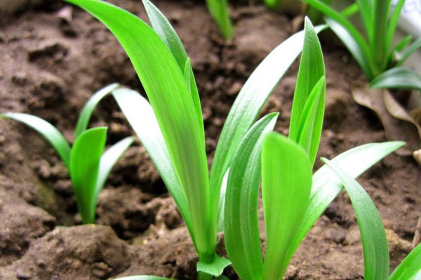 ��ô�����Լ��������� ù�˳��������޷�����