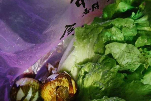 ��ô�����Լ��������� ù�˳��������޷�����