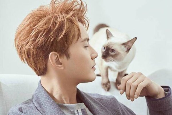 ������˫��Ƥ�Ǹ���� �������۾�ȷʵ�ܺÿ�