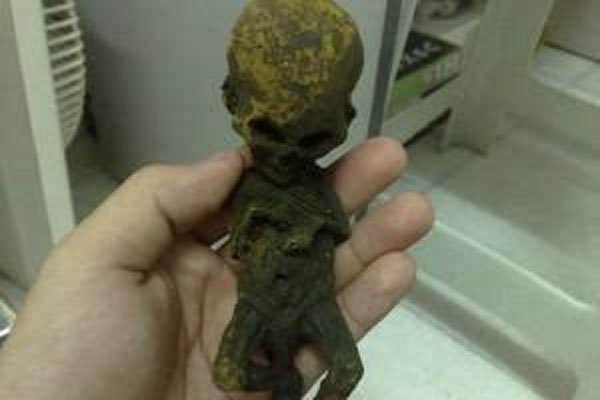 ����ͯ�п�ѧ������ ��Դ���񻰹����ܵ�����