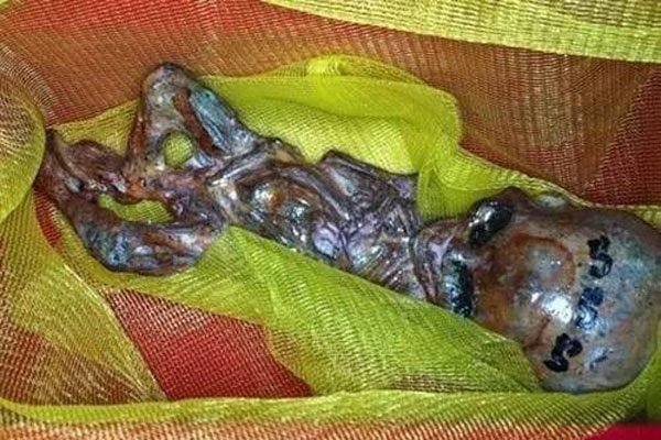 ����ͯ�п�ѧ������ ��Դ���񻰹����ܵ�����