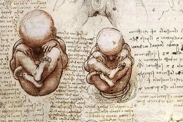 ����ͯ�п�ѧ������ ��Դ���񻰹����ܵ�����