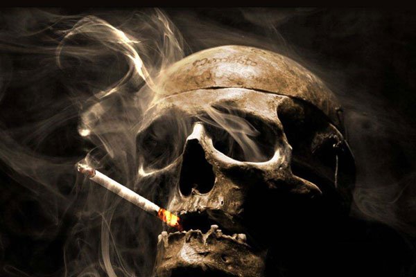 ����С���з��� ת��ע����ֻҪ���Լ�����Ȥ�ͺ�