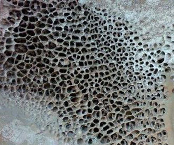 �����к��ѳ��ӿٳ��� �����ֲֿ���С������