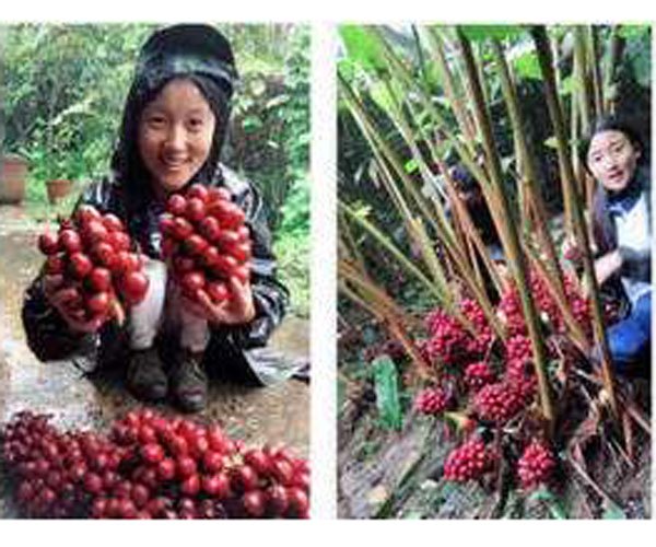 淋可可的爸爸判多久 任何理由都不会成为犯罪的借口