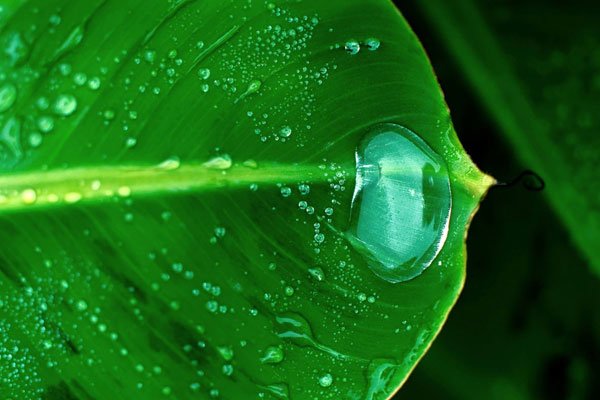 水滴筹的钱能取出来吗 眼红举报该得到救助的得不到