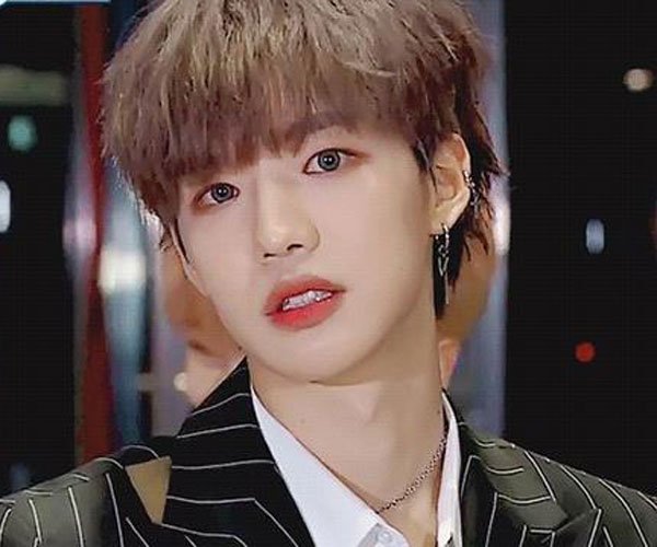 �֟��Ů��ʵ������ ���Ĺ���Ϊ������ǰ�̶���Ҫ��