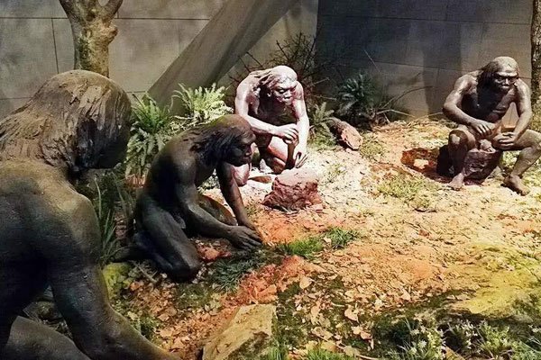 �����������Ѿ������ ����Ծ�ȶ�����Ϸɴ���