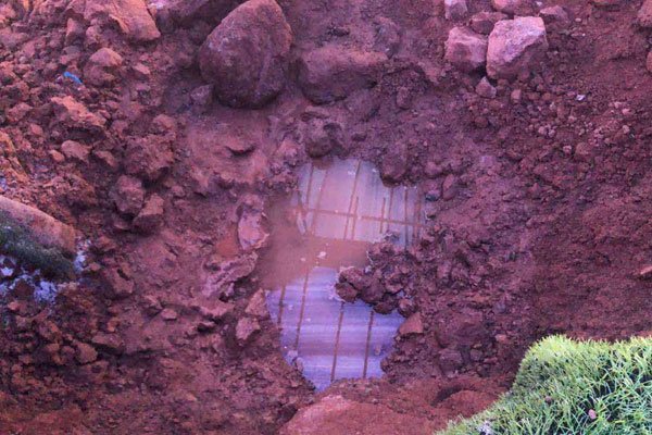 �ٳ���ʬ������19�� ���߶�������ά��ԭ��