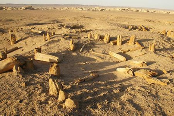 �޲���Ϊʲô�ǽ��� ��Ϊ�кܶ���ȥ��֮��ʬ���޴�